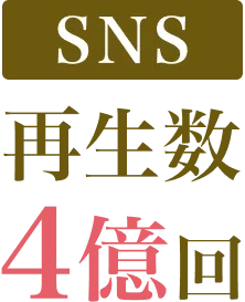 SNS再生数 4億回