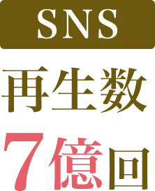 SNS再生数 7億回