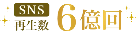 sns再生回数 6億回