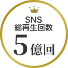 SNS総再生回数 5億回