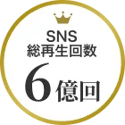 SNS総再生回数 6億回