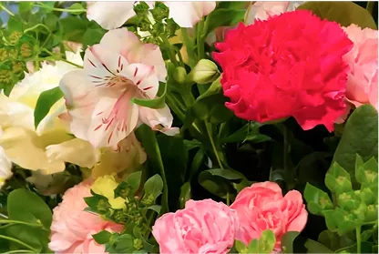 洋風のお花