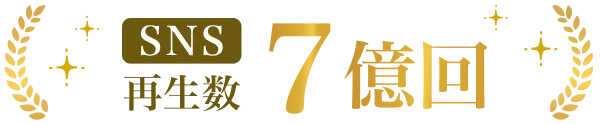 SNS再生数 7億回
