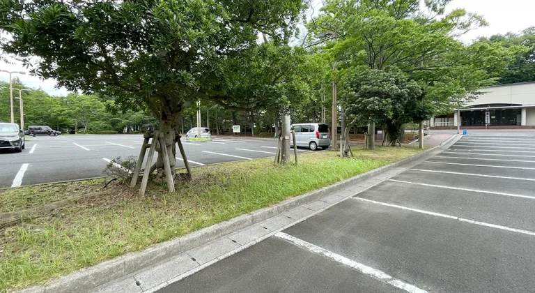 市川市斎場の駐車場