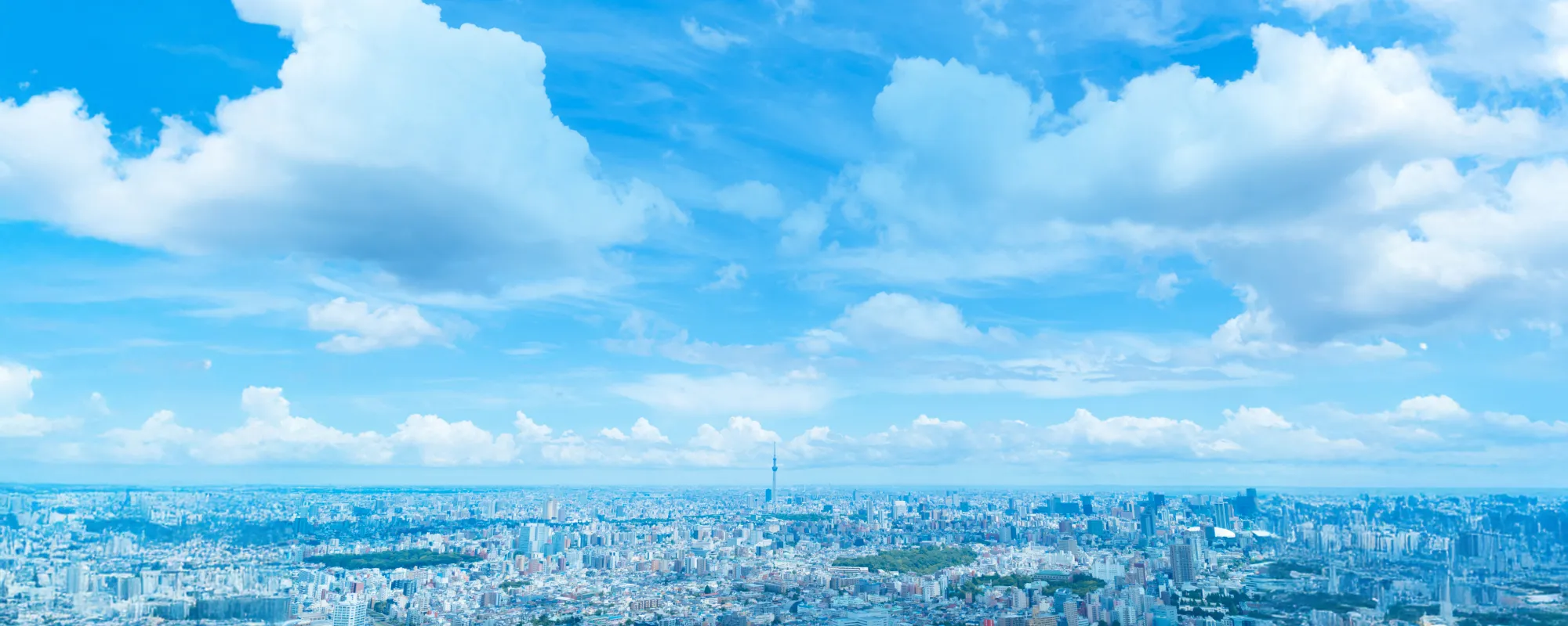 葬祭ディレクターの採用