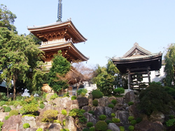 円福寺 双樹堂の本堂写真
